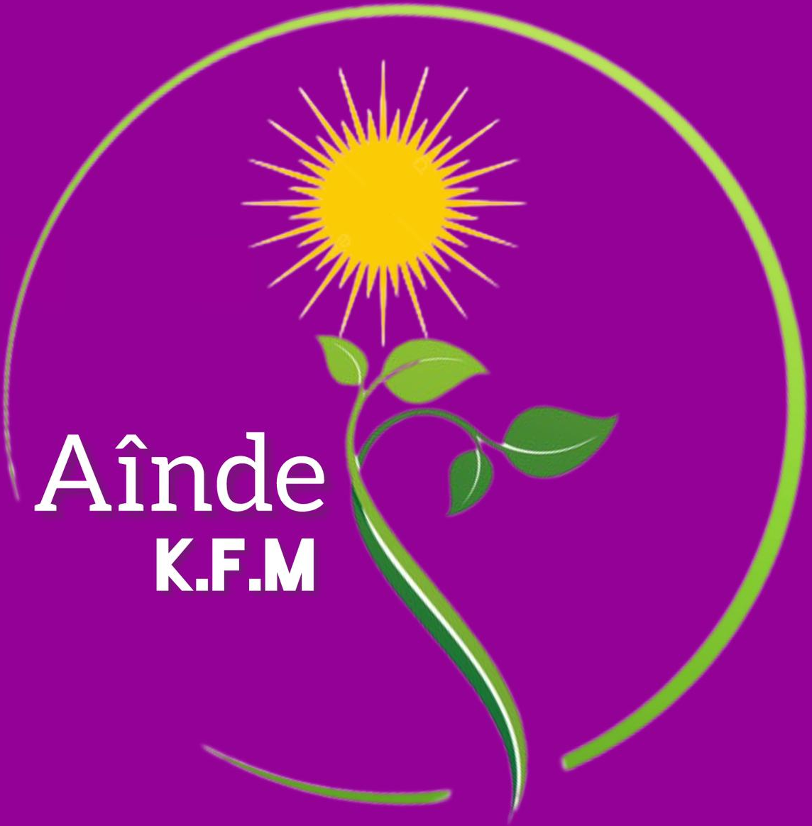 Ainde Logo